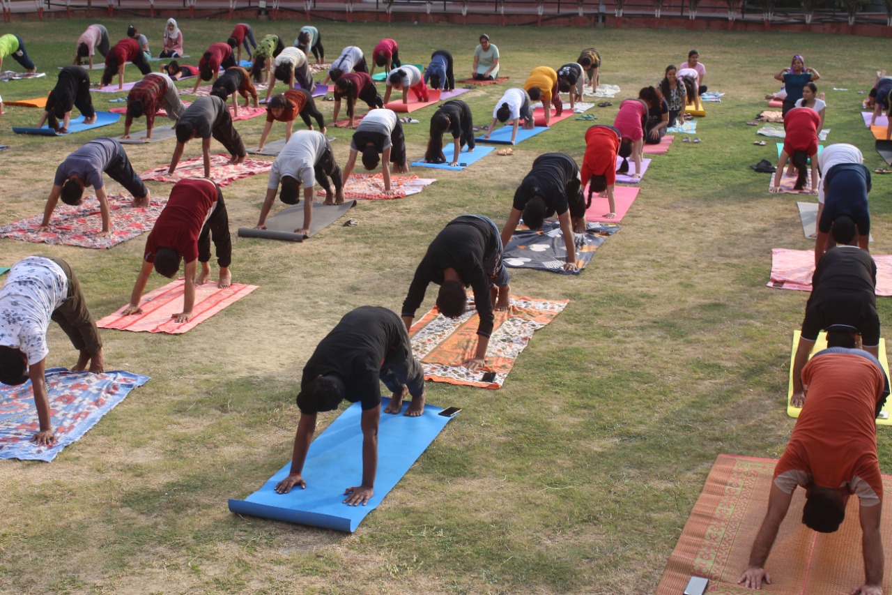 yoga day